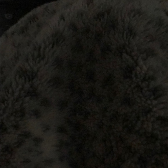 Meet your Posher, Tempie - Picture 1 of 1